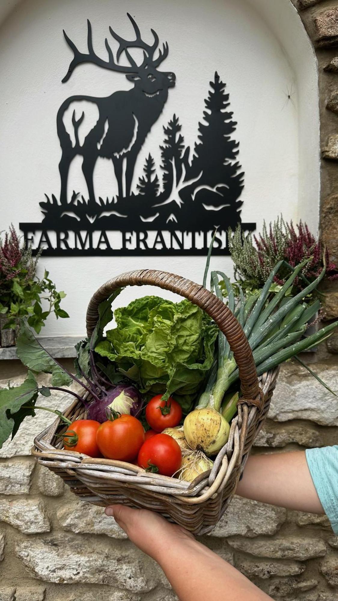 Farma Frantisek Ξενοδοχείο Stachy Εξωτερικό φωτογραφία
